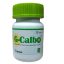 G-Calbo-01_l