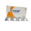 Roxicef-500mg