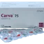 carva-75-1629982281598
